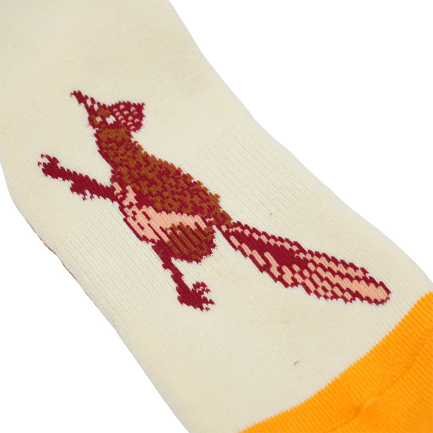 Roadrunner Socks